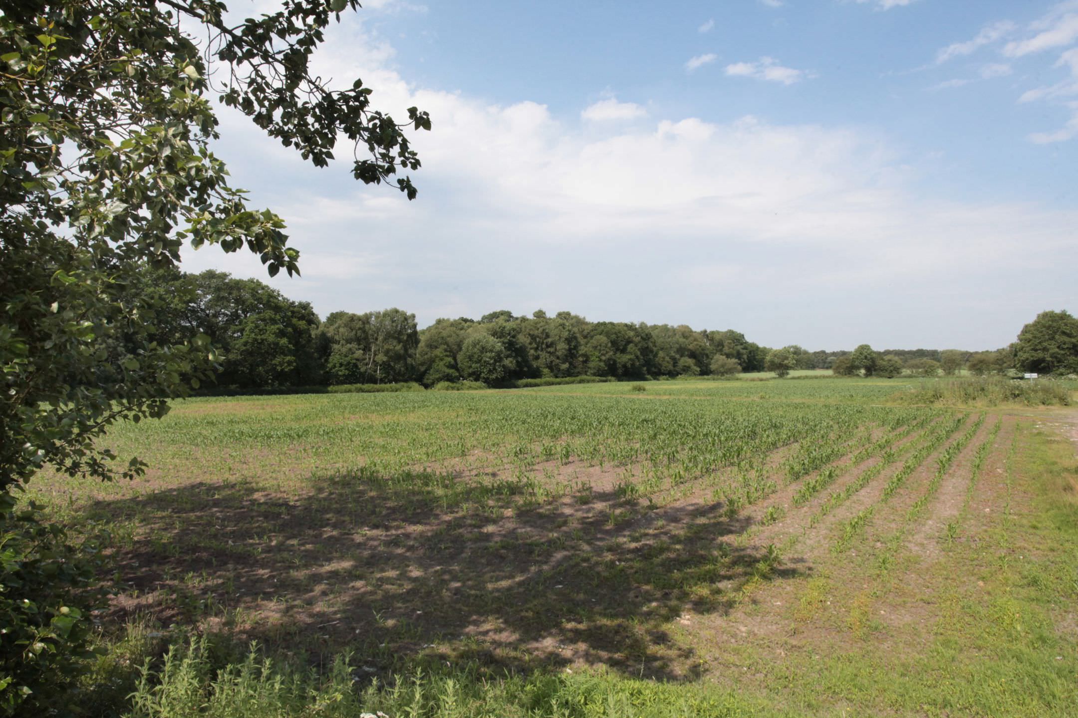 site for planning